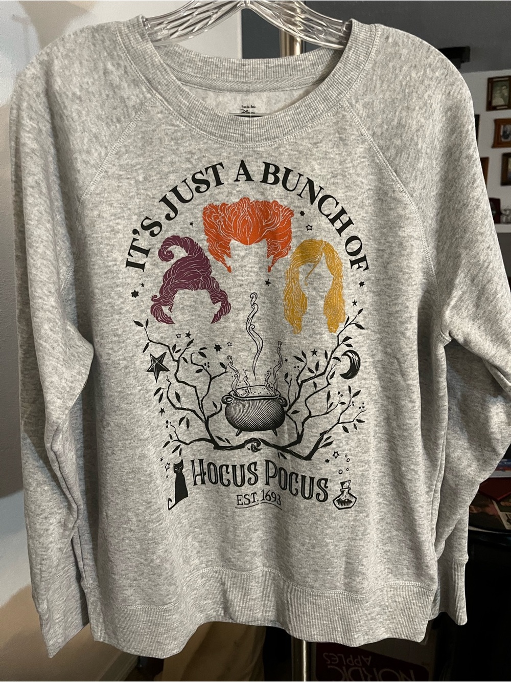 Disney Hocus Pocus Women's Gray Crewneck Sweatshirt with Colorful Witches